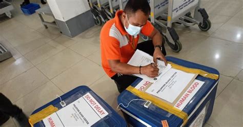 doh region 8|DOH Region 8 sends blood to NCR .